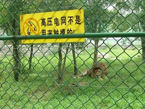供应勾花网